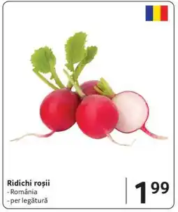 Selgros Ridichi roşii Ofertă