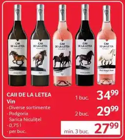 Selgros CAII DE LA LETEA Ofertă