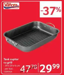 Selgros Tavă cuptor cu grill Ofertă