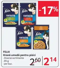 Selgros FELIX Ofertă