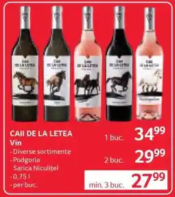 Selgros CAII DE LA LETEA Vin Ofertă