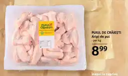 Selgros PUIUL DE CRĂIEȘTI Ofertă