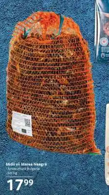 Selgros Midii vii Marea Neagră Ofertă