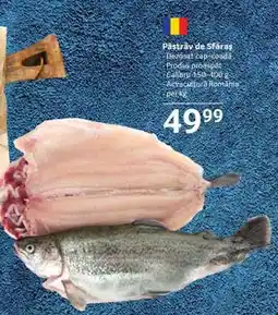 Selgros Păstrăv de Sfăraș Ofertă