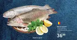 Selgros Păstrăv eviscerat Ofertă