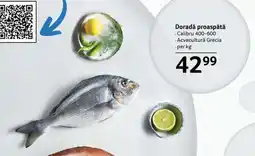 Selgros Dorada proaspătă Ofertă