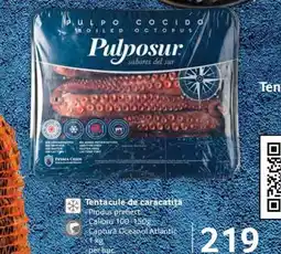 Selgros Pulposur Ofertă