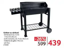 Selgros Grătar cu cărbuni Ofertă