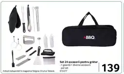 Selgros Set 24 accesorii pentru grătar Ofertă