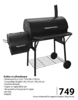 Selgros Grătar cu afumătoare Ofertă