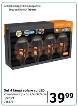 Selgros Set 4 lămpi solare cu LED Ofertă