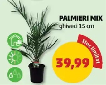 Penny PALMIERI MIX Ofertă