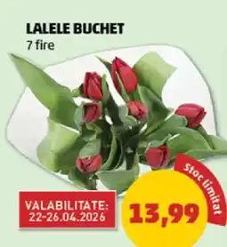 Penny LALELE BUCHET Ofertă