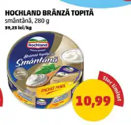 Penny HOCHLAND Brânză topită Ofertă