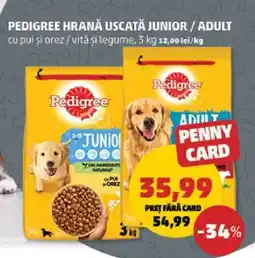 Penny PEDIGREE HRANĂ USCATĂ JUNIOR / ADULT Ofertă