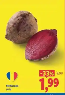 Lidl Sfeclă roşie Ofertă