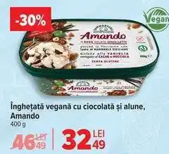 Carrefour Înghețată vegană cu ciocolată și alune, Amando Ofertă