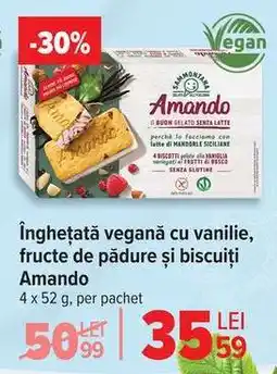 Carrefour Înghețată vegană cu vanilie, fructe de pădure și biscuiți Amando Ofertă