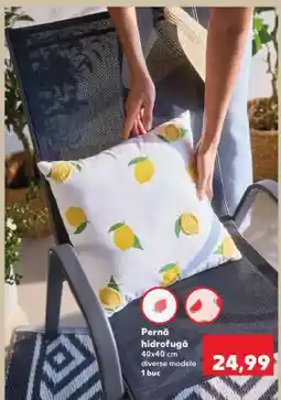 Kaufland Pernă hidrofugă Ofertă