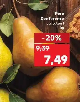 Kaufland Pere Conference Ofertă