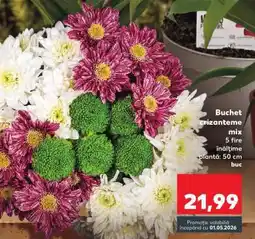 Kaufland Buchet crizanteme mix Ofertă