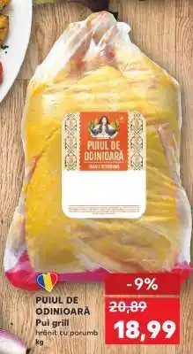 Kaufland PUIUL DE ODINIOARĂ Ofertă
