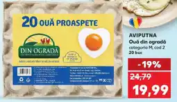 Kaufland Ouă din ogradă Ofertă