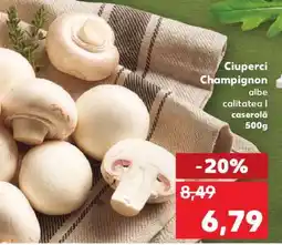 Kaufland Ciuperci Champignon albe Ofertă