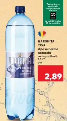 Kaufland HARGHITA TIVA Ofertă
