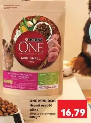 Kaufland ONE Mini Dog Ofertă