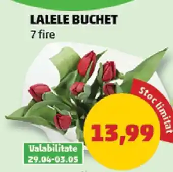 Penny LALELE BUCHET Ofertă