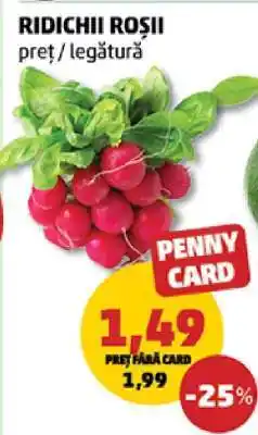 Penny Ridichii roșii Ofertă
