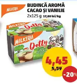 Penny Budincă Aromă Cacao și Vanilie Ofertă