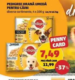 Penny PEDIGREE hrană umedă pentru câini Ofertă
