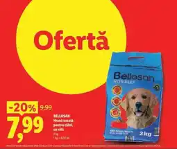 Lidl Bellosan Ofertă