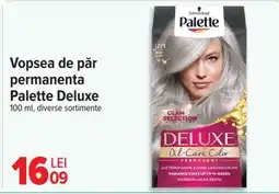 Carrefour Vopsea de păr permanentă Palette Deluxe Ofertă