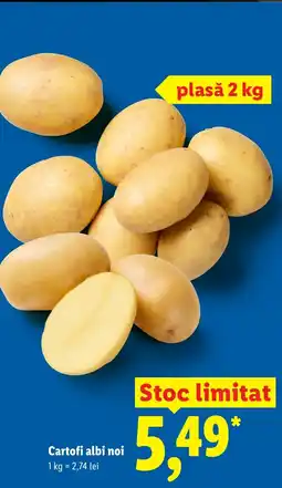 Lidl Cartofi albi noi Ofertă