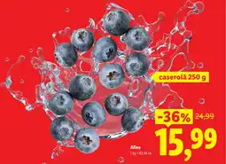 Lidl Afine Ofertă
