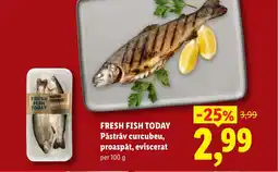 Lidl FRESH FISH TODAY Păstrăv curcubeu, proaspăt, eviscerat Ofertă