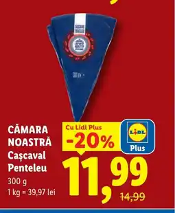 Lidl CĂMARA NOASTRĂ Cascaval Penteleu Ofertă