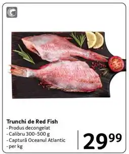 Selgros Trunchi de Red Fish Ofertă