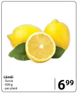 Selgros Lămâi Ofertă