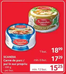 Selgros SCANDIA Carne de porc / pui în suc propriu Ofertă