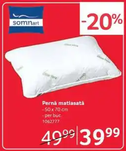 Selgros Pernă matlasată Ofertă