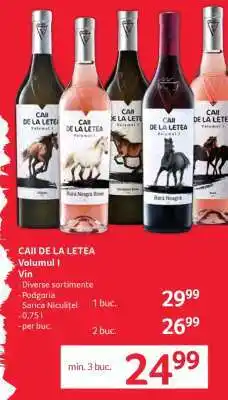 Selgros CAII DE LA LETEA VOLUMUL I Ofertă