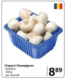 Selgros Ciuperci Champignon Ofertă