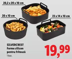 Lidl SILVERCREST Forme silicon pentru friteuză Ofertă