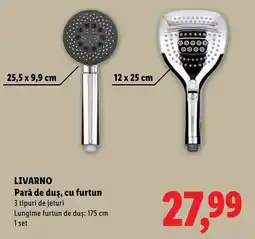 Lidl LIVARNO Pară de duş, cu furtun Ofertă