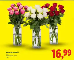 Lidl Buchet de trandafiri Ofertă