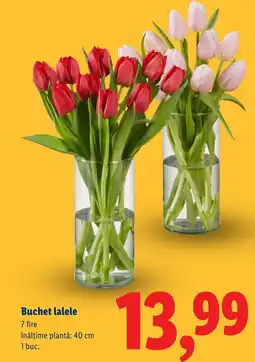 Lidl Buchet lalele Ofertă
